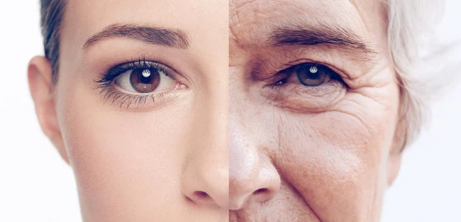 NMN and Resveratrol for anti-aging NMN and Resveratrol for anti-aging
