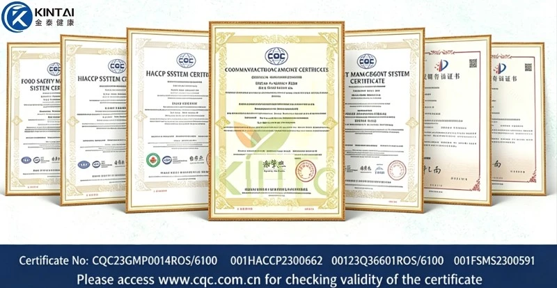 Our certifications Our certifications
